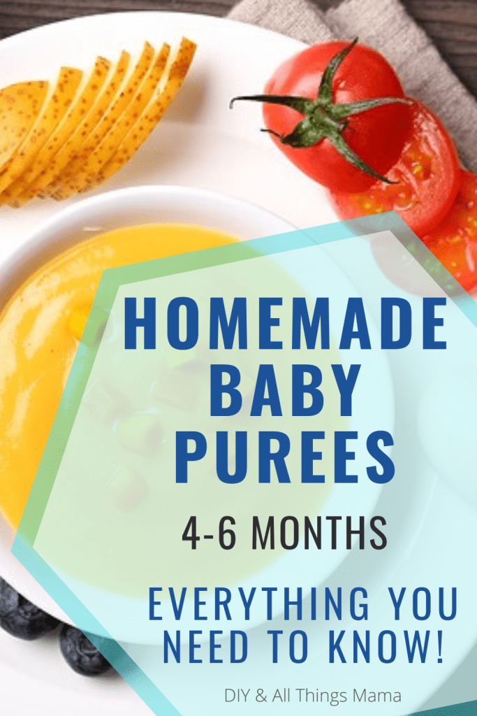 Homemade DIY Baby Food Recipes Nutritious and Easy to Make Purees for